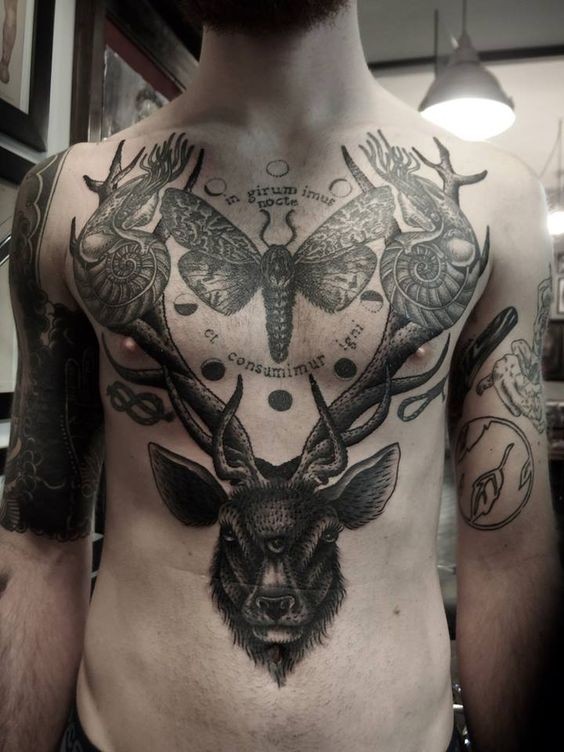 Gorgeous black ink massive deer head tattoo on chest and belly stylized with lettering and night butterfly