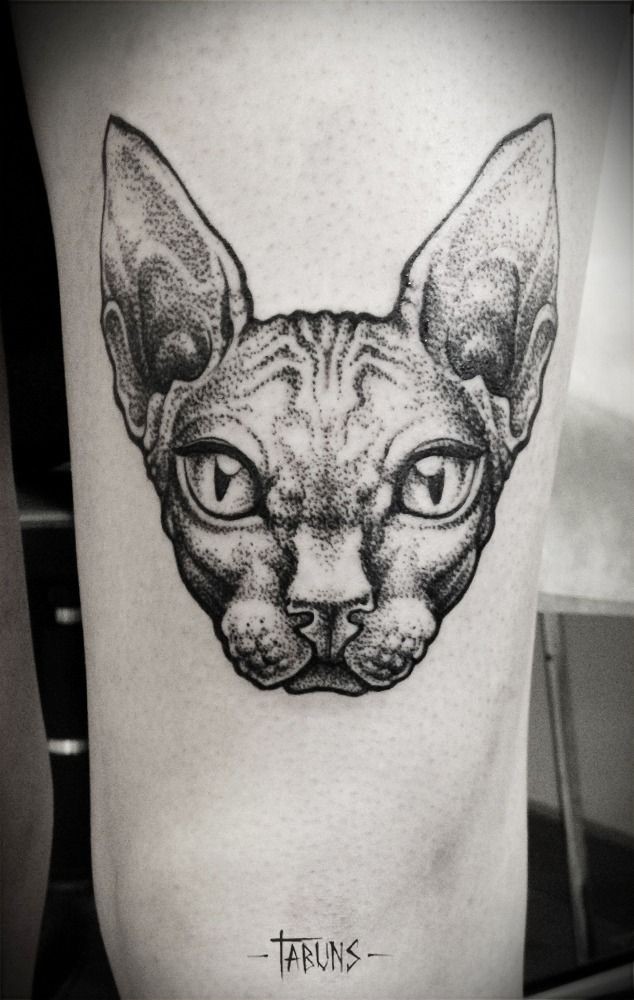 Tatuagem de coxa estilo ponto lindo da cabeça de gato esfinge