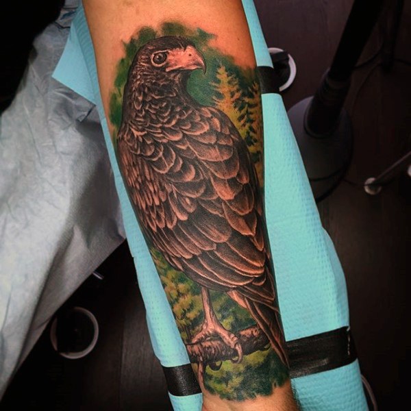 Gorgeous natural colored detailed eagle in fores tattoo on arm