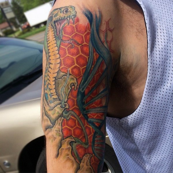 Tatuaje en el brazo, serpiente venenoso con ADN  en el fondo de panal