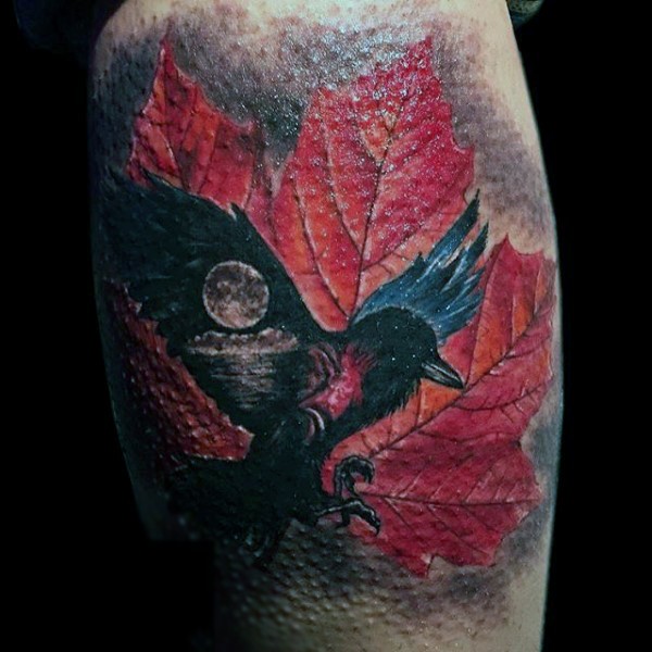 meraviglioso dipinto molto realistico corvo con foglia di acero tatuaggio su gamba