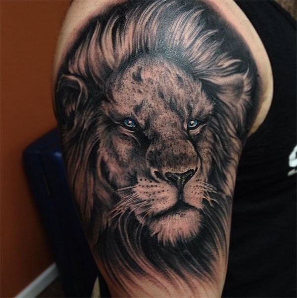 Gorgeous very detailed colored shoulder tattoo of steady lion