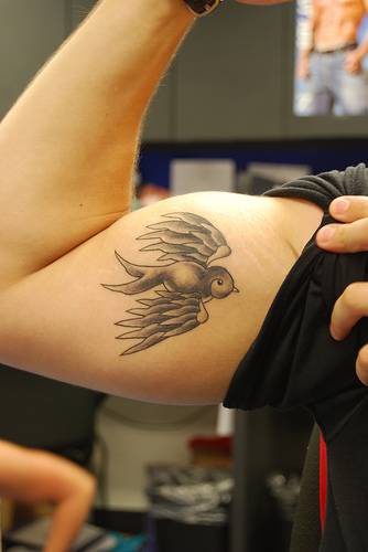 Gray sparrow tattoo on arm