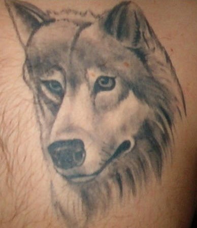 Graues Tattoo mit traurigem Wolf