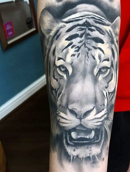 Gray washed black ink shoulder tattoo of tiger head