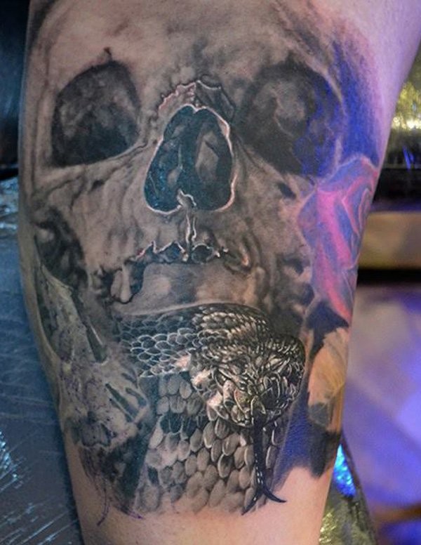 Gray washed style detailed human skull tattoo combined with snake