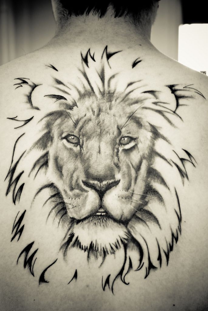 Great amasing lion tattoo on back