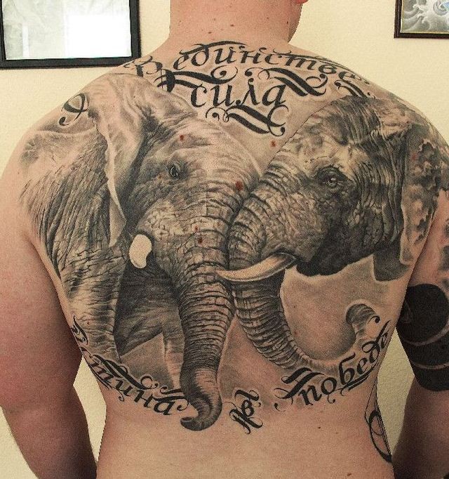grandi bellissimi elefanti tatuaggio sulla schiena