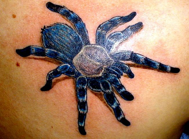 Great blue tarantula tattoo