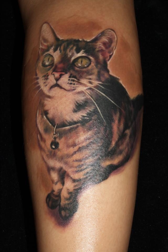 Tatuaggio bellissimo sulla gamba il gatto carino