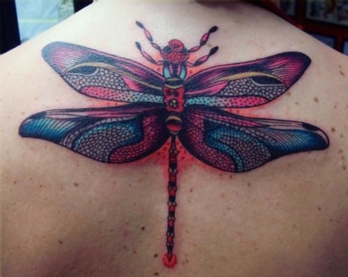 Great colorful dragonfly on back