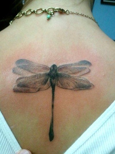 grande elegante libellula tatuaggio sulla schiena