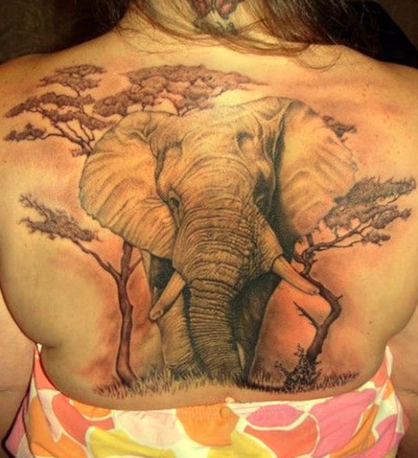 Großartiger Elefant Tattoo am ganzen Rücken
