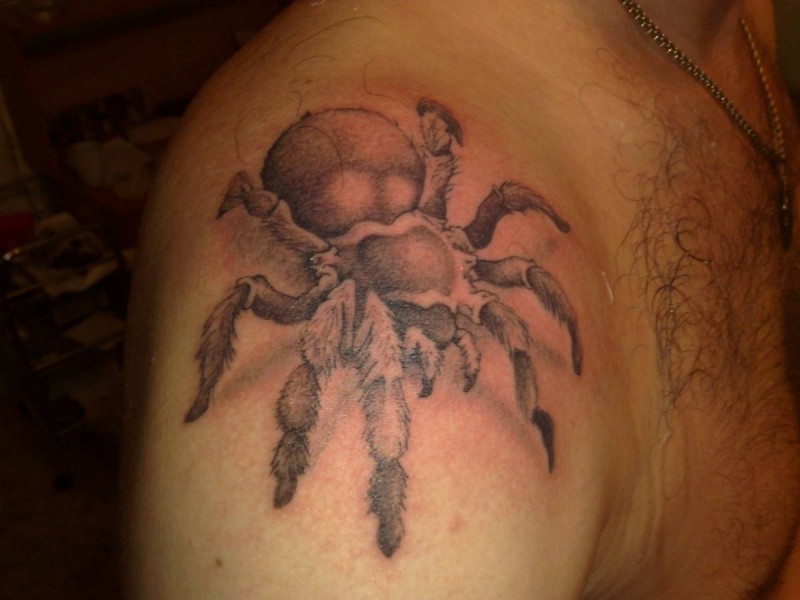 Great realistic spider tattoo