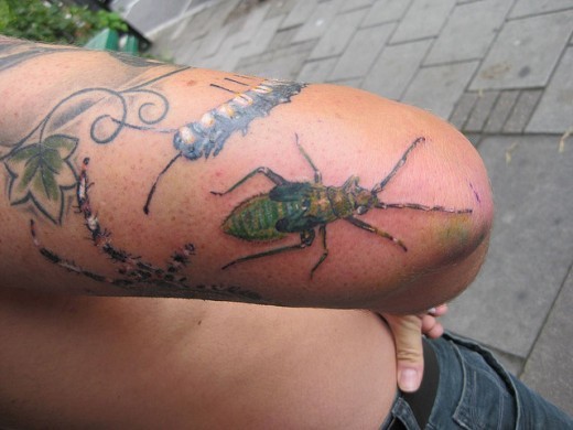 Tatuaggio carino sul braccio gli insetti
