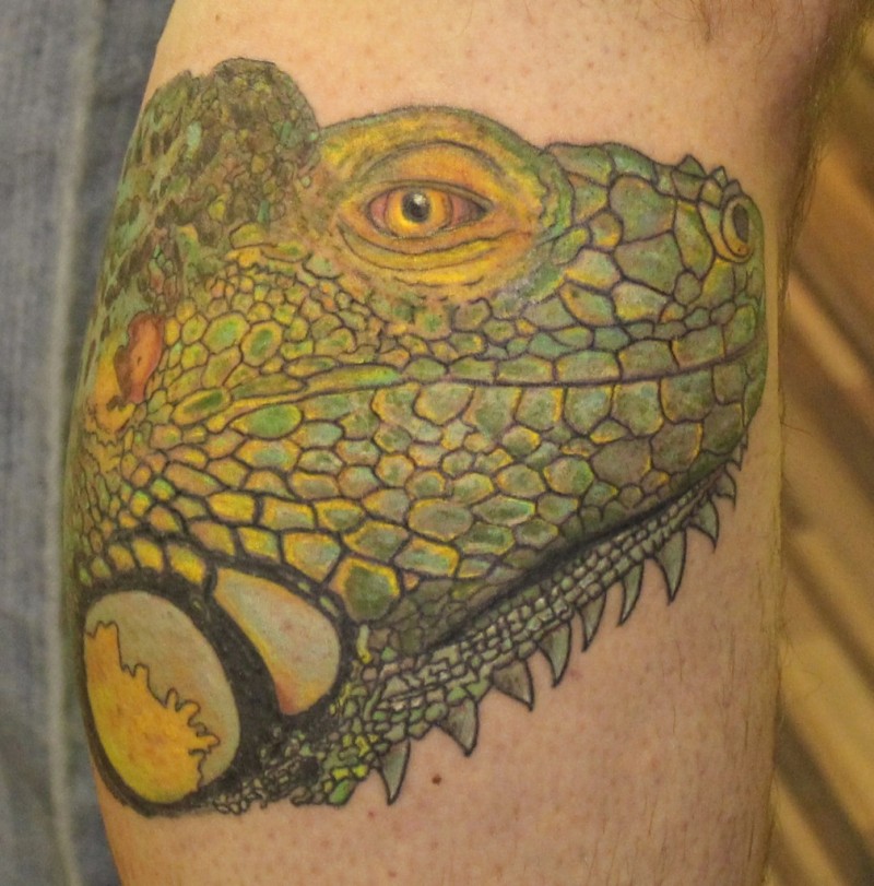 Tatuaggio realistico la testa della iguana verde