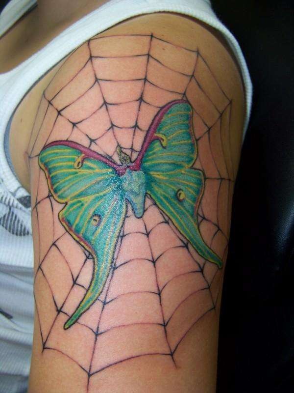 Green moth in spider web tattoo