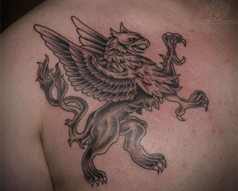 Griffin tattoo on mens chest