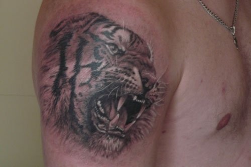 testa tigre sorridendo tatuaggio sulla spalla