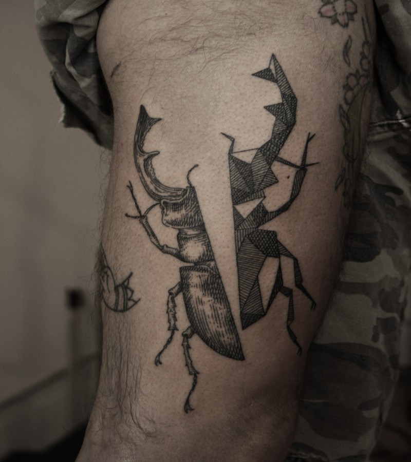 Half geometrical half engraving style tattoo of divided bug
