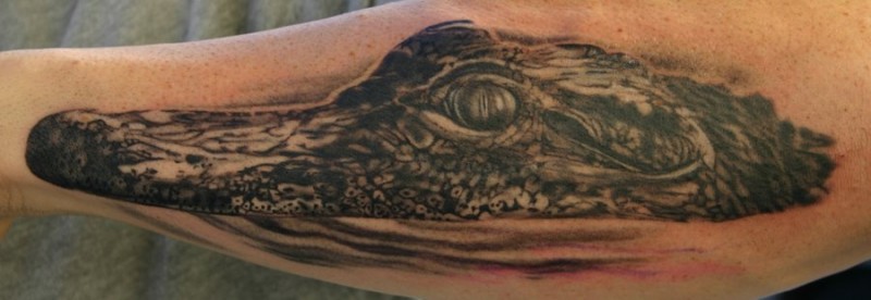 Head of alligator forearm tattoo