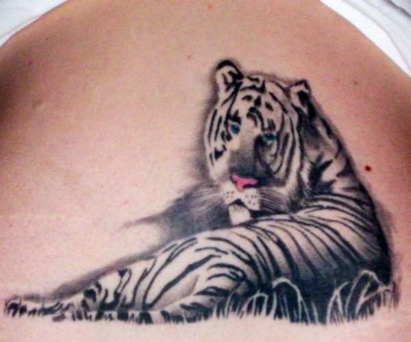 Homemade style colored chest tattoo of white tiger