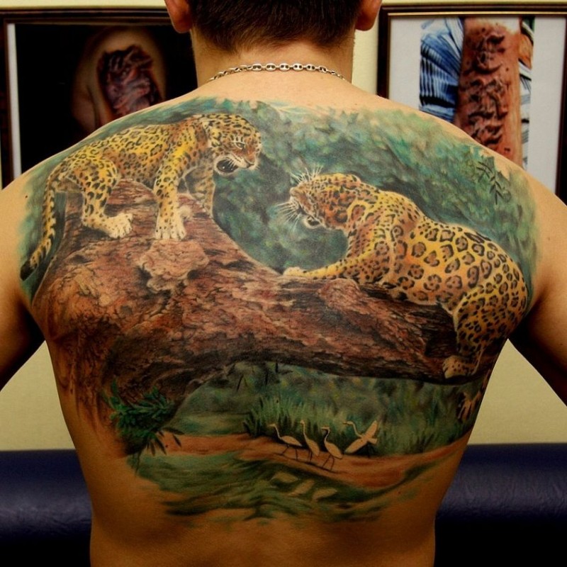 Tatuaje en la espalda, diseño pintoresco de dos jaguares en 
tronco de árbol