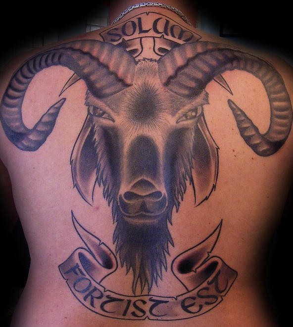 Tatuaje en la espalda, ovis impresionante volumétrico y letrero