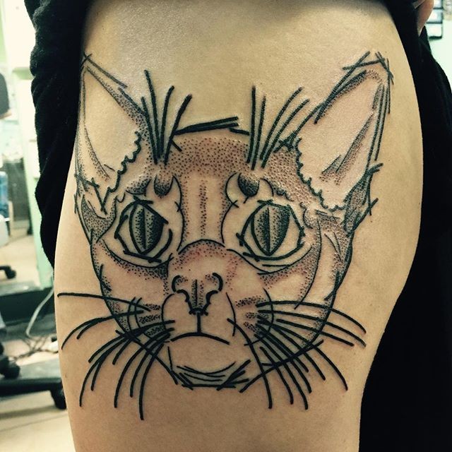 Ilustração como tatuagem colorida de cara de gato estilo ponto