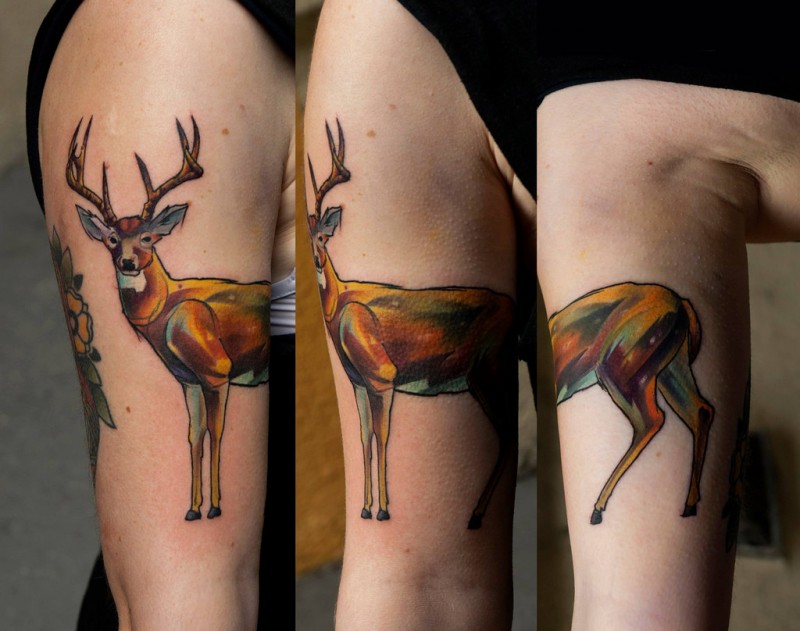 Illustrative style colored biceps tattoo of deer