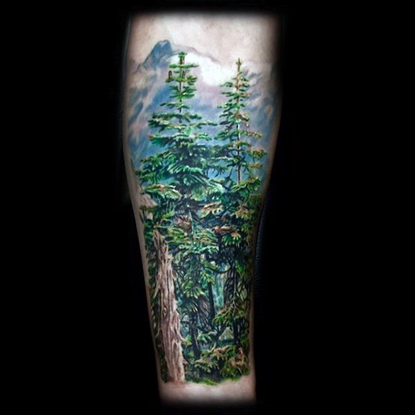 Illustrative style colored forearm tattoo of deep mountain forest