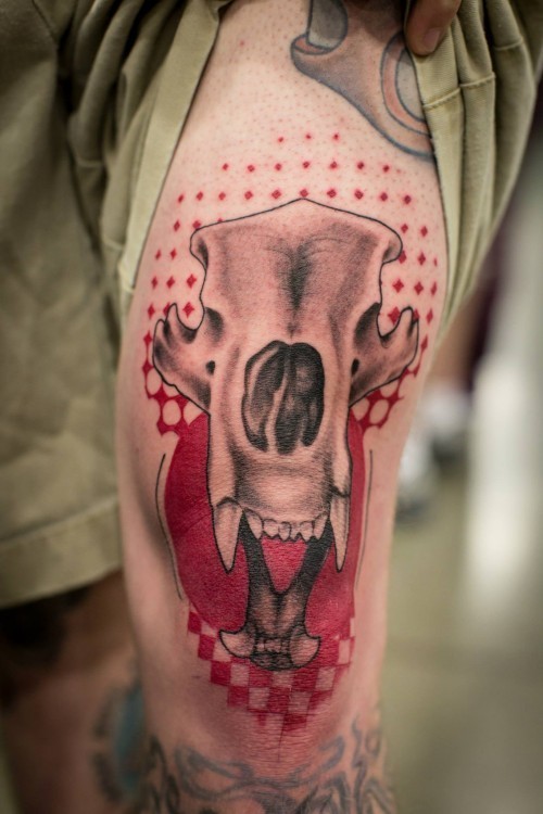 Illustrative style colored tattoo of animal skull with red ornaments