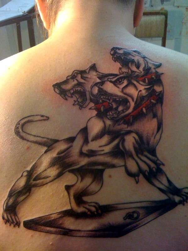 Illustrative style colored upper back tattoo of big Cerberus