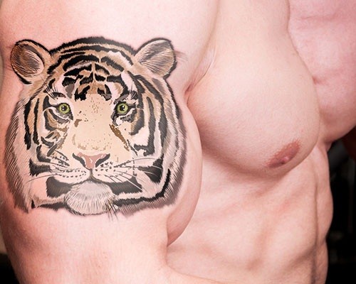 Tatuagem de bíceps bonito estilo ilustrativo de tigre branco com olhos verdes