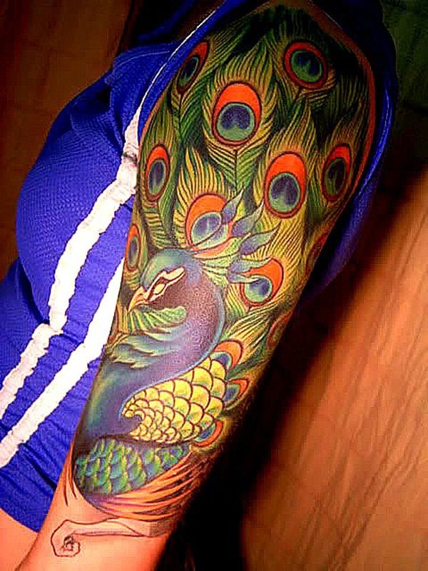 Illustrative style large colorful shoulder tattoo of peacock