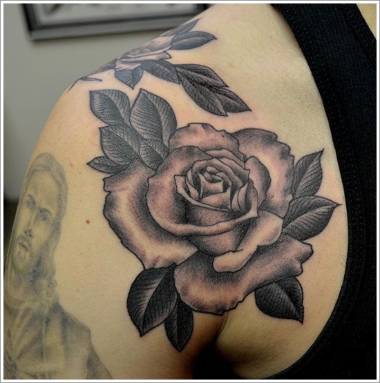 impressionante nero e bianco dettagliata rosa tatuaggio su spalla