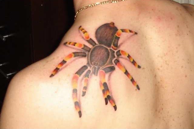 impressionante colorato grande 3D ragno della giungla tatuaggio su spalla