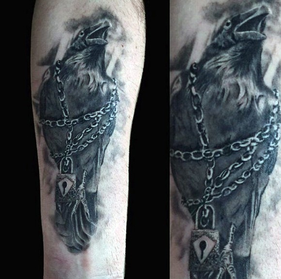 impressionante disegno nero e bianco corvo incatenato tatuaggio su braccio