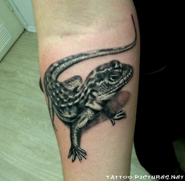 Impressive naturally colored lizard 3D realistic lifelike tattoo on forearm