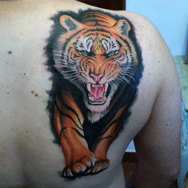 impressivo dipinto molto dettagliato colorato tigre tatuaggio su scapola
