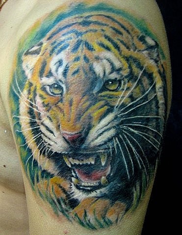 impressionante molto realistico colorato tigre ruggente tatuaggio su spalla