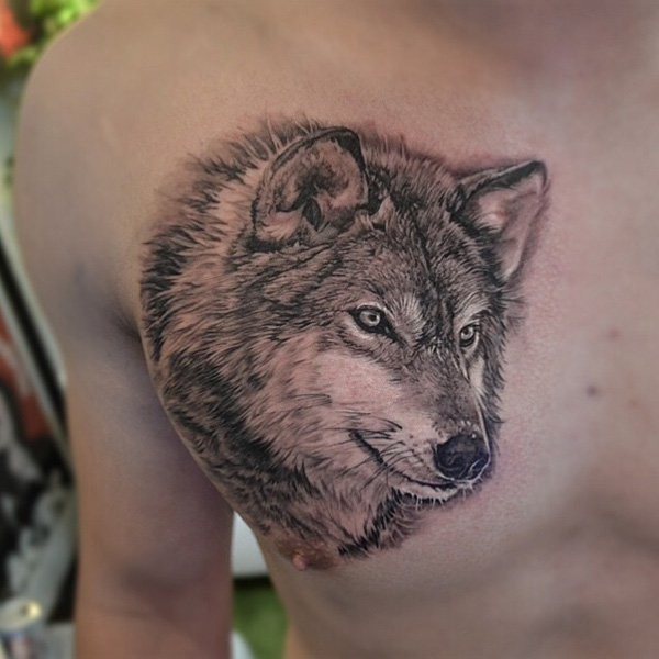 Unglaublicher 3D realistischer lebensechter natürlich gefärbter Wolf Tattoo auf der Brust