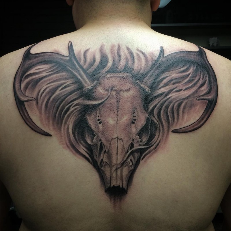 Incredible colored very detailed fantasy animal skull tattoo on upper back stylized with mystical fog