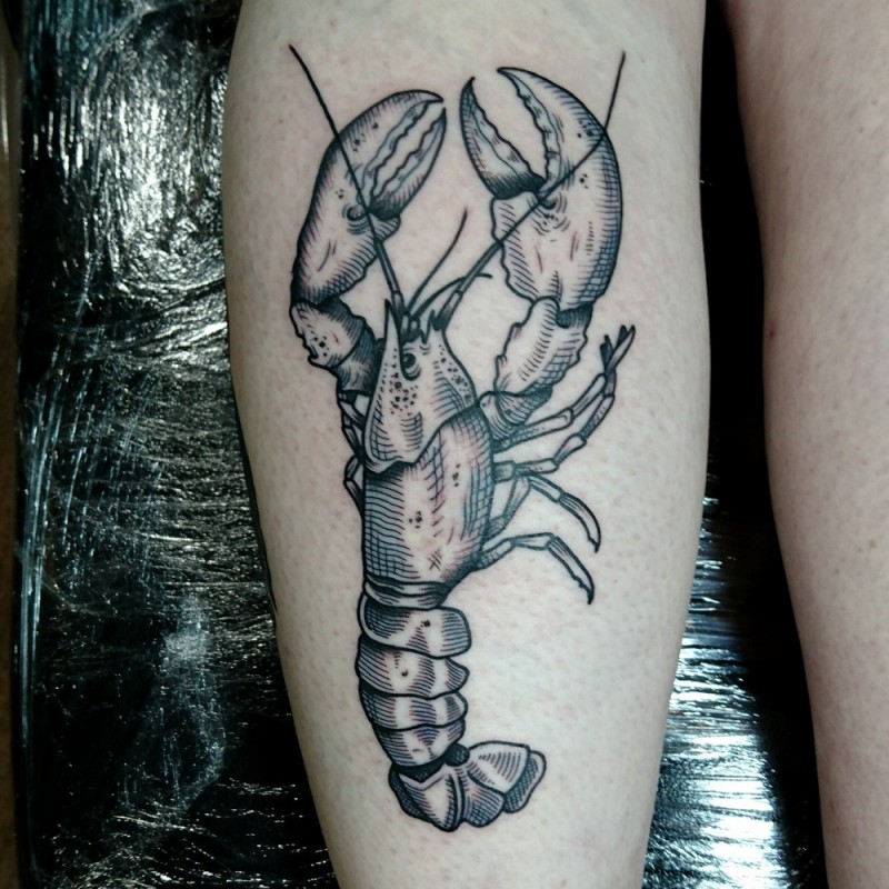 Incredible looking black ink engraving style leg tattoo of small crayfish