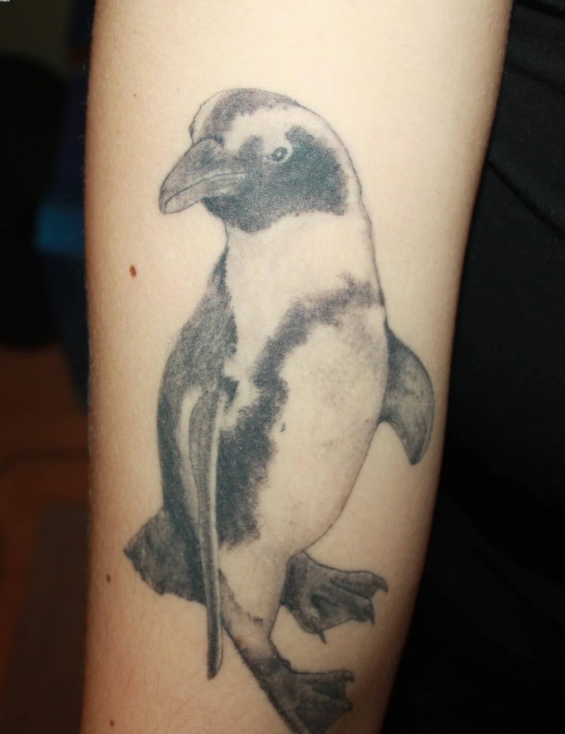 Tatuaje en el brazo,
pingüino simple, color negro y gris