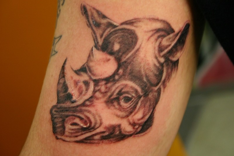 Tatuaje en el brazo, cabeza de rinoceronte gris