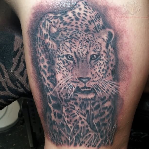 Interesting jaguar tattoo idea for man