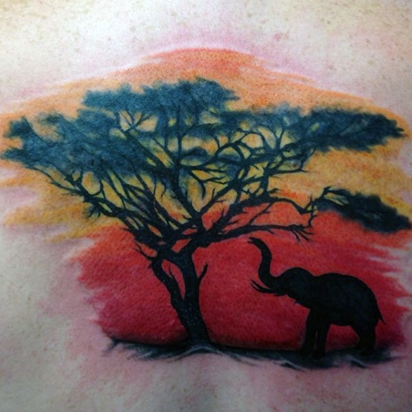 Interesting little colored wild life with elephant and tree tattoo on back