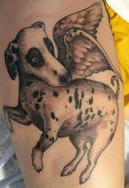 Interesting painted 3D like big dog with wings tattoo on arm