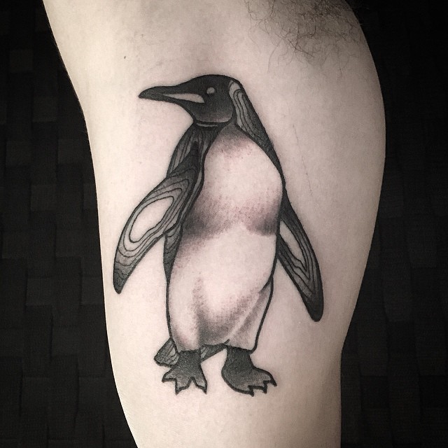 bellissimo pinguino tatuaggio per uomo